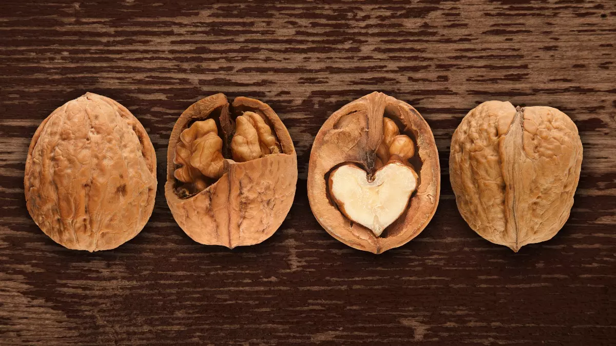 Por qué las nueces son clave para el corazón y el cerebro