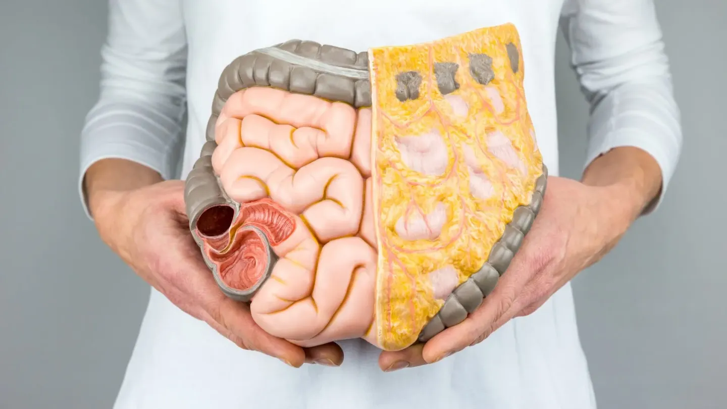 La grasa visceral: el asesino silencioso que no se ve en la báscula