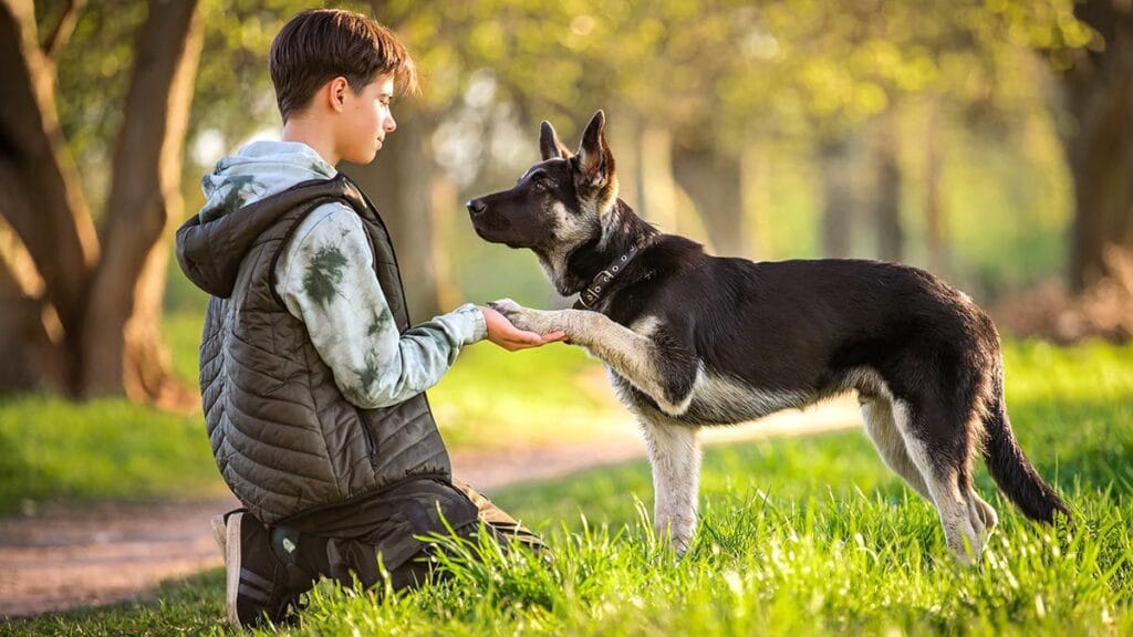 Convivir con un perro en la adolescencia se asocia con mejor salud física y mental
