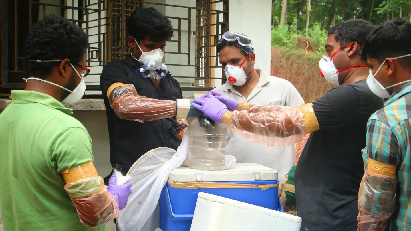 Alerta en India: confirman cinco casos del letal virus Nipah cerca de Calcuta